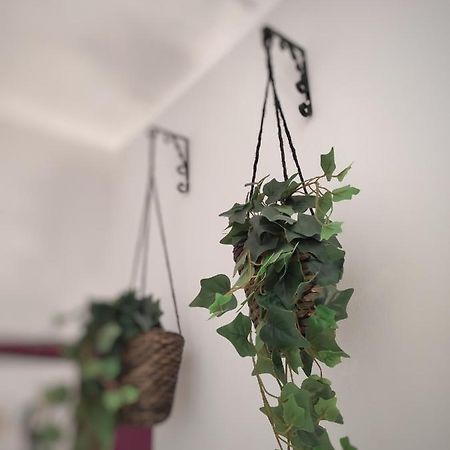 Apartmán Misseregram Neapol Exteriér fotografie